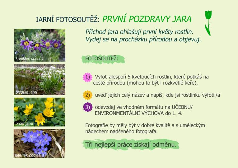 soutěž